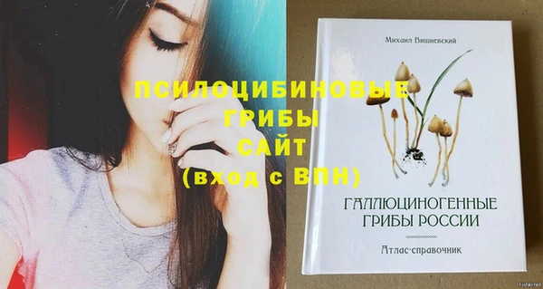 меф Алексин