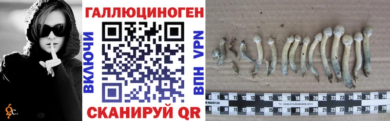 Галлюциногенные грибы мицелий как найти наркотики МЕГА онион Выкса